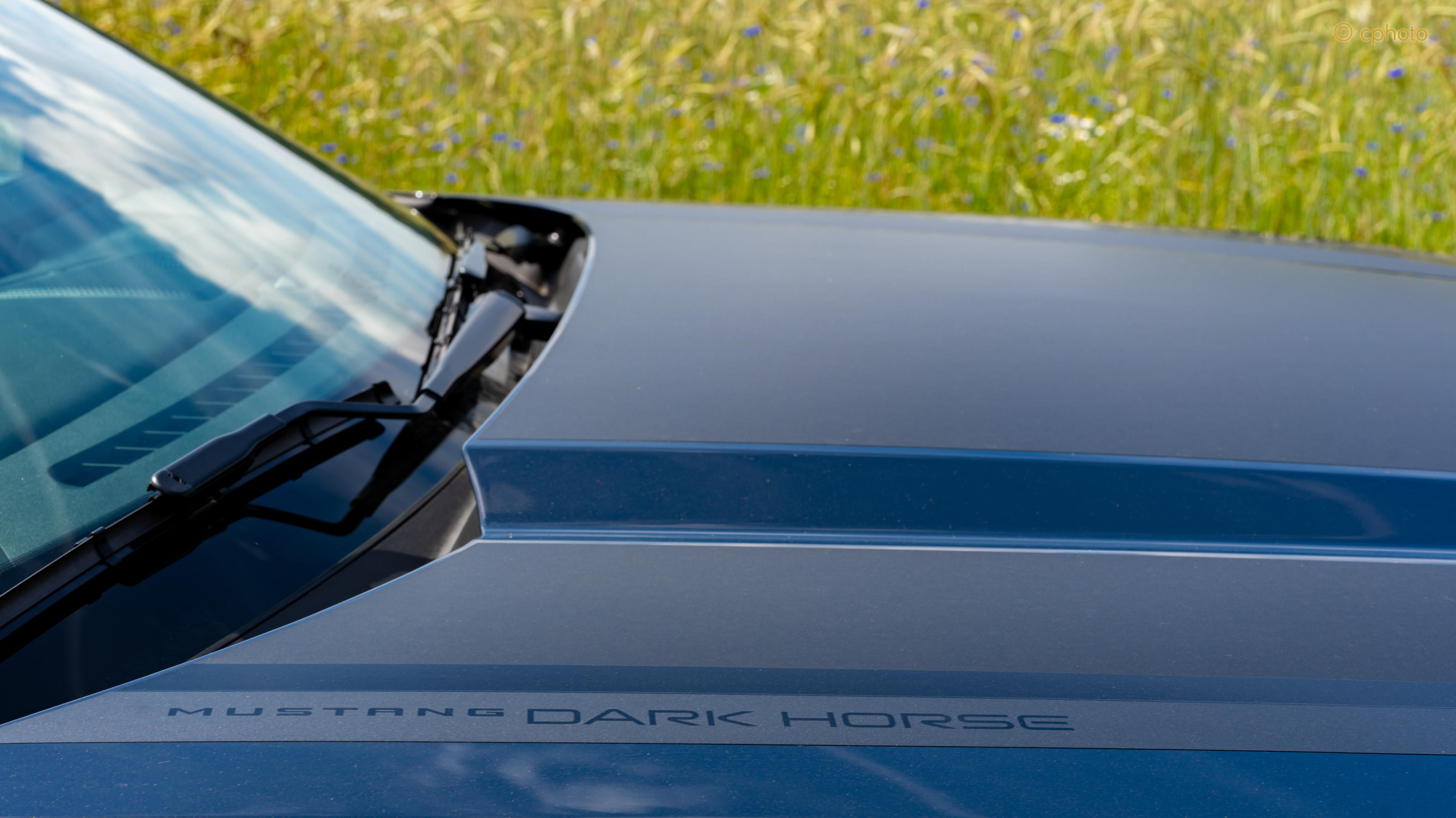Dark Horse